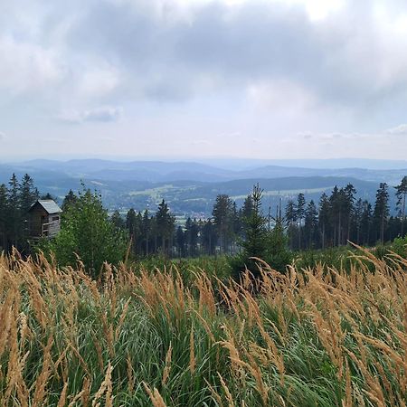 Apartament Mountains Gory Sowie Jugów Εξωτερικό φωτογραφία