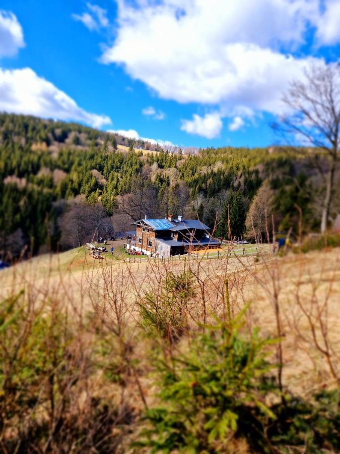 Apartament Mountains Gory Sowie Jugów Εξωτερικό φωτογραφία