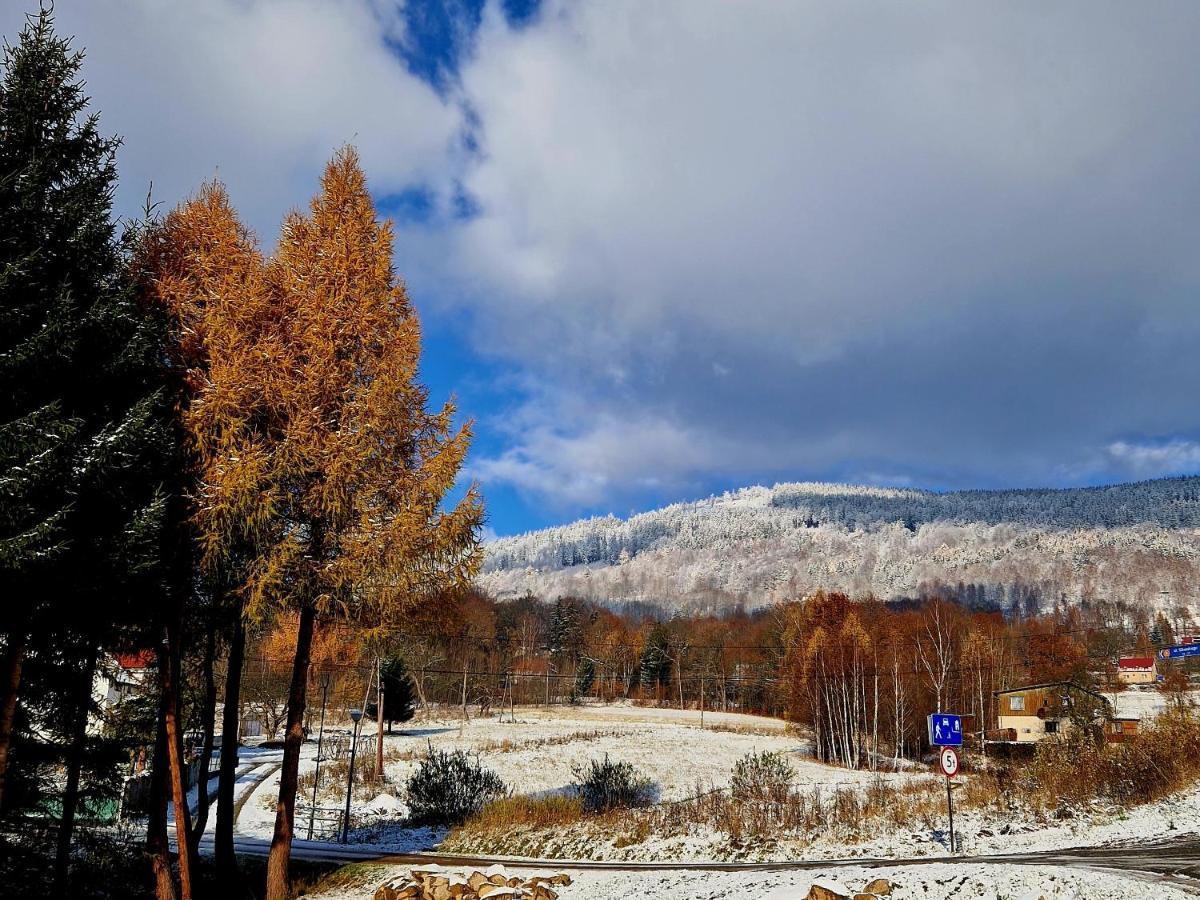 Apartament Mountains Gory Sowie Jugów Εξωτερικό φωτογραφία